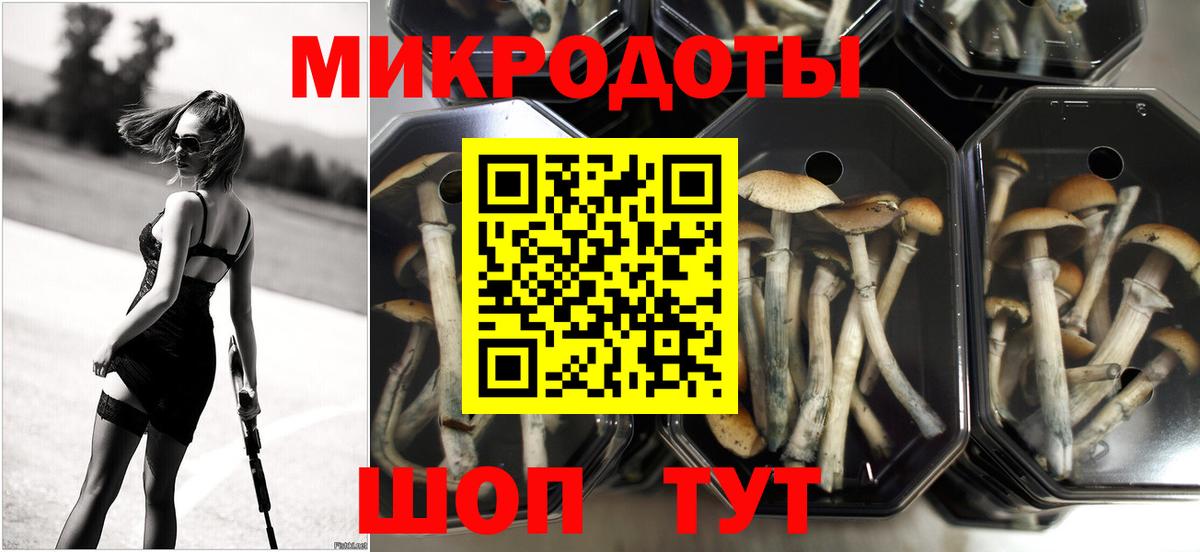 Моздок  хочу наркоту  Псилоцибиновые грибы GOLDEN TEACHER  Вход с VPN  Галлюциногенные грибы мухоморы 
